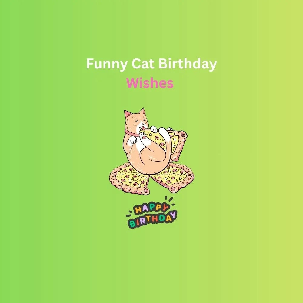 cat birthday wishes