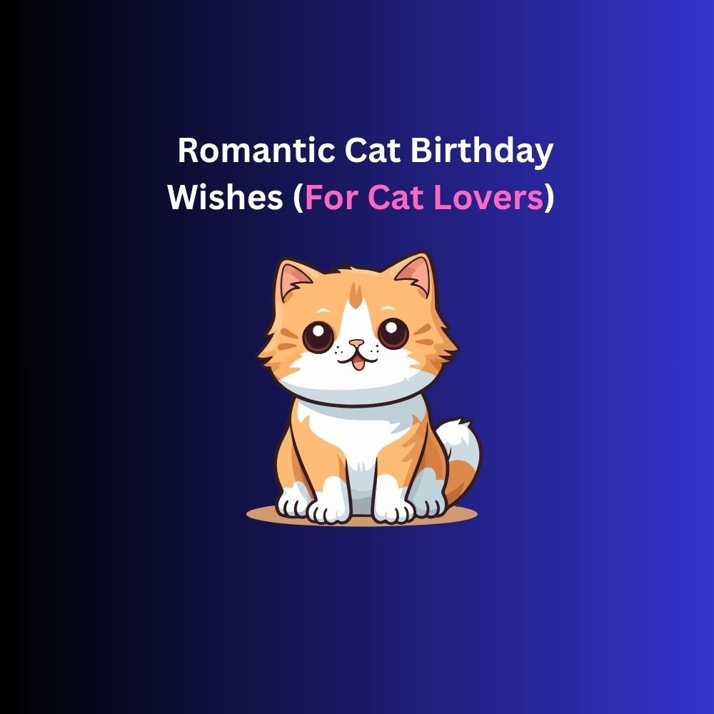 cat birthday wishes