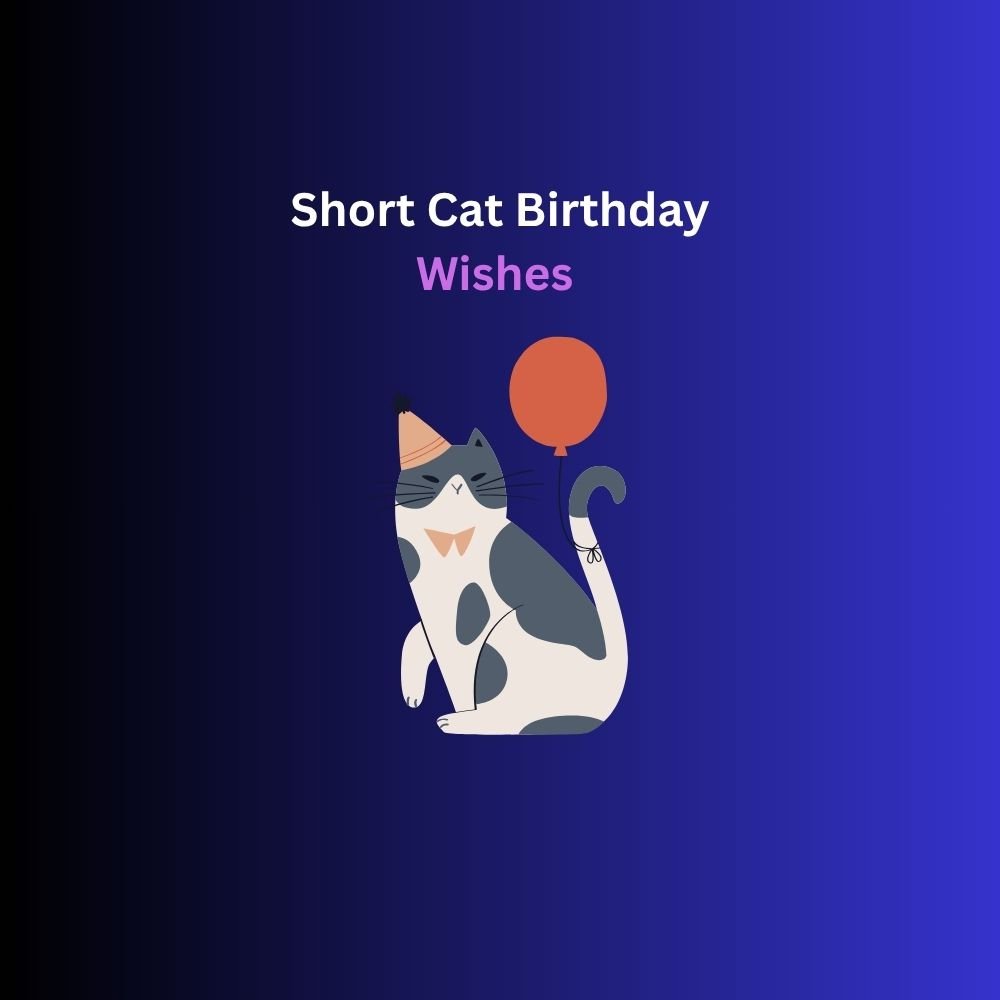 cat birthday wishes
