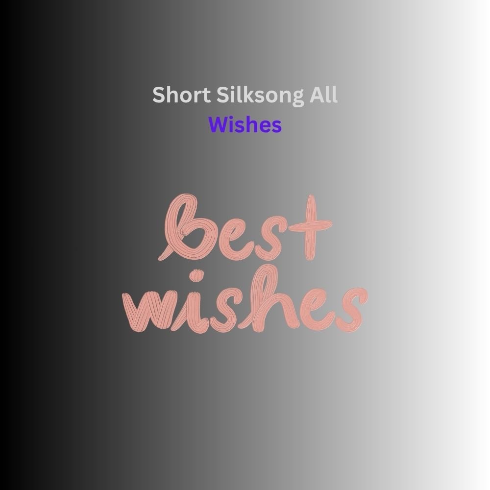 silksong all wishes