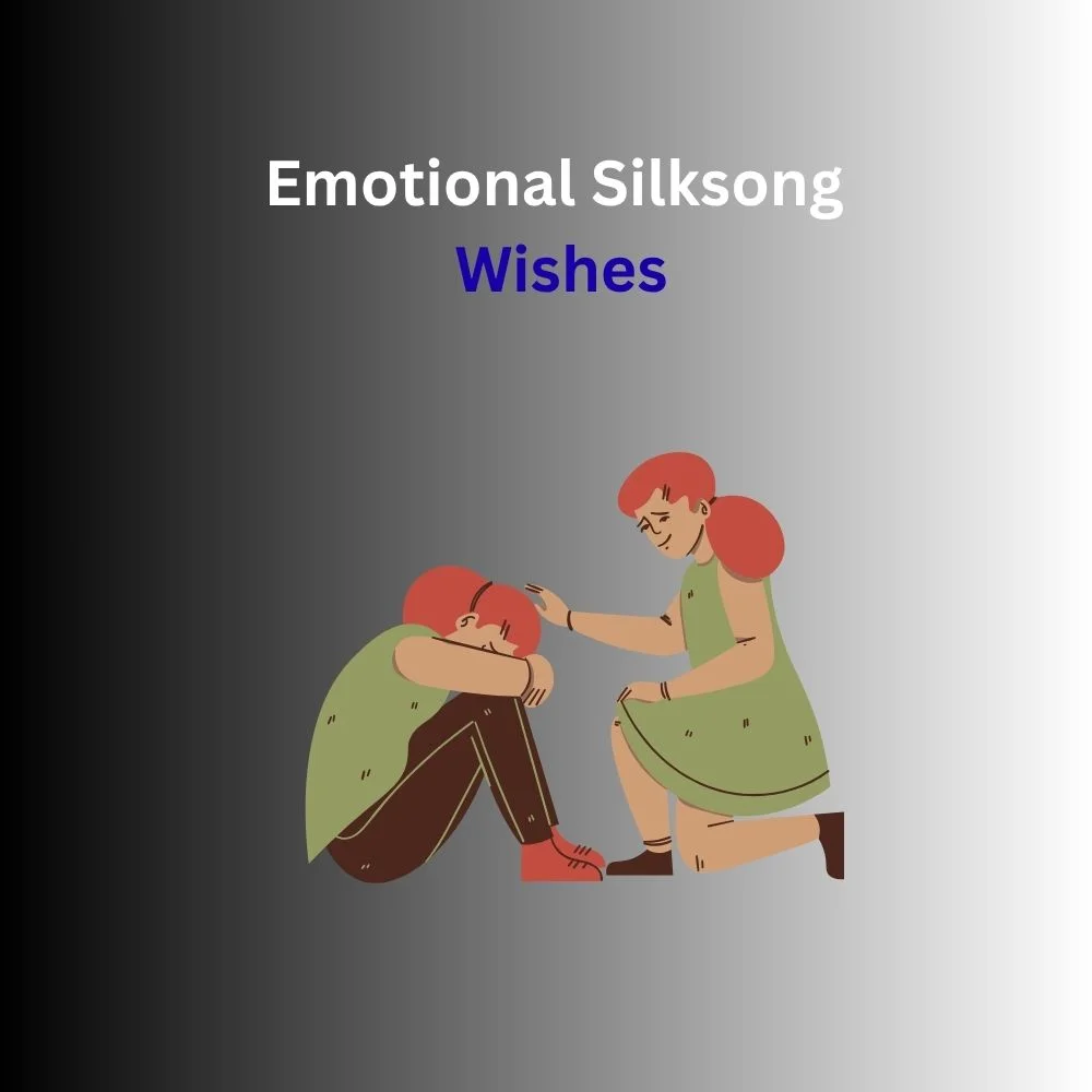 silksong wishes