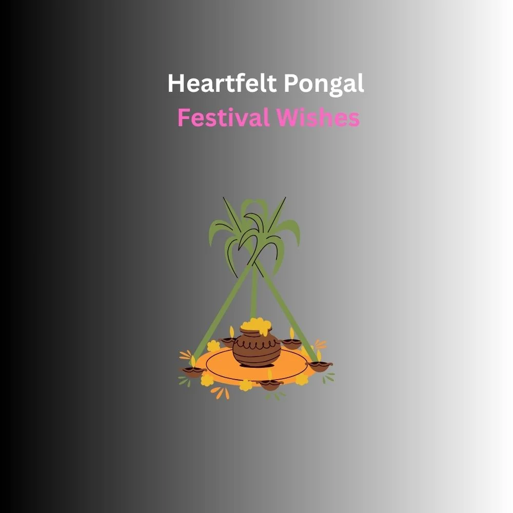 pongal festival wishes