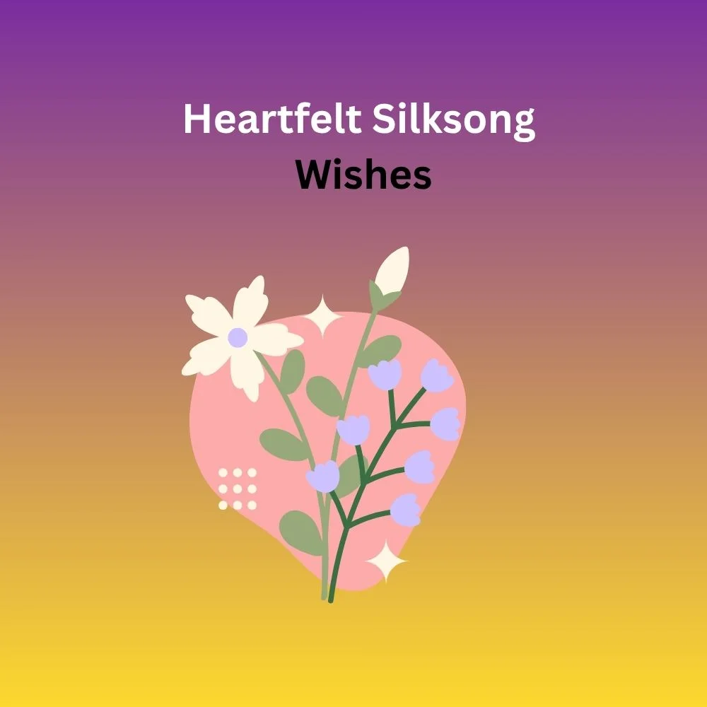 silksong wishes