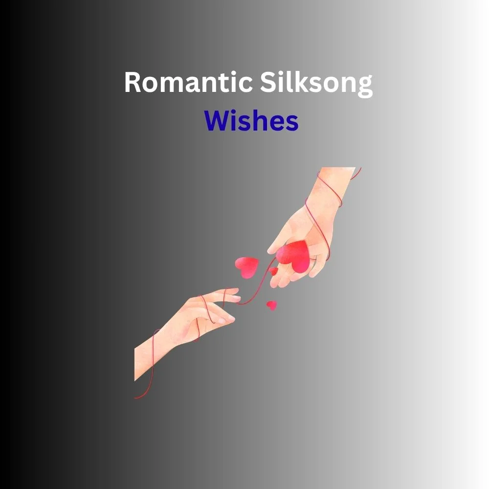 silksong wishes